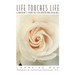 Life Touches Life: A Mother's Story of Stillbirth and Healing
