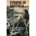 Stirring Up Sheffield: An Insider's Account of the Battle to Build the Crucible Theatre