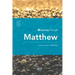 Journey Through Matthew: 62 Biblical Insights by Mike Raiter