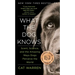 What the Dog Knows: Scent, Science, and the Amazing Ways Dogs Perceive the World