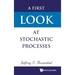 A First Look at Stochastic Processes