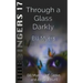 Through a Glass Darkly