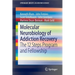 Molecular Neurobiology of Addiction Recovery: The 12 Steps Program and Fellowship