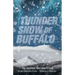 Thunder Snow of Buffalo: The October Surprise Storm