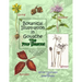 Botanical Illustration in Gouache - The Four Seasons
