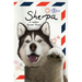 Sherpa, A Letter From Paris