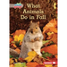 What Animals Do in Fall
