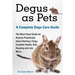 Degus as Pets, a Complete Degu Care Guide