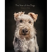 The Year of the Dogs