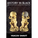 History in Black: African-Americans in Search of an Ancient Past