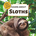 Learn About Sloths: First Facts for Kids