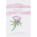 Birth: A Guide for Prayer