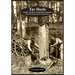 Tar Heels: North Carolina's Forgotton Economy: Pitch, Tar, Turpentine & Longleaf Pines