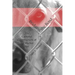 Bridging the Bond: The Cultural Construction of the Shelter Pet