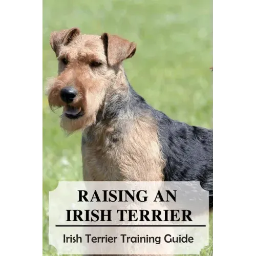 Raising An Irish Terrier: Irish Terrier Training Guide: Best Ways To Exercise Your Irish Terrier?
