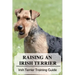 Raising An Irish Terrier: Irish Terrier Training Guide: Best Ways To Exercise Your Irish Terrier?