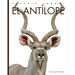 El Antílope