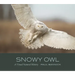 Snowy Owl: A Visual Natural History