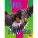 Hawks