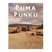 Puma Punku: The History of Tiwanaku's Spectacular Temple of the Sun