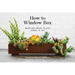 How to Window Box: Small-Space Plants to Grow Indoors or Out