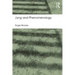 Jung and Phenomenology
