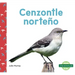 Cenzontle Norteño (Northern Mockingbirds)