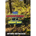 The Adventures of a Farm Boy