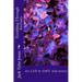 Tumbling Through Eternity: An LSD & DMT Adventure