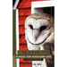 Ms. Olive Owl's School For Hooligan Cats: A Vincent Chapter Book