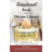 Scriptural Basis of the Divine Liturgy: Meditations on the Coptic Orthodox Liturgy of Saint Basil
