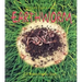 Earthworm