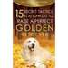 Golden Retriever: 15 Secret Tactics You Can Do To Raise a Perfect Golden Retriever