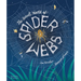 The Secret World of Spiderwebs