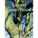 Turning Green Wood: An Inspiring Introduction to the Art of Turning Bowls from Freshly Felled, Unseasoned Wood.