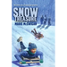 Snow Treasure
