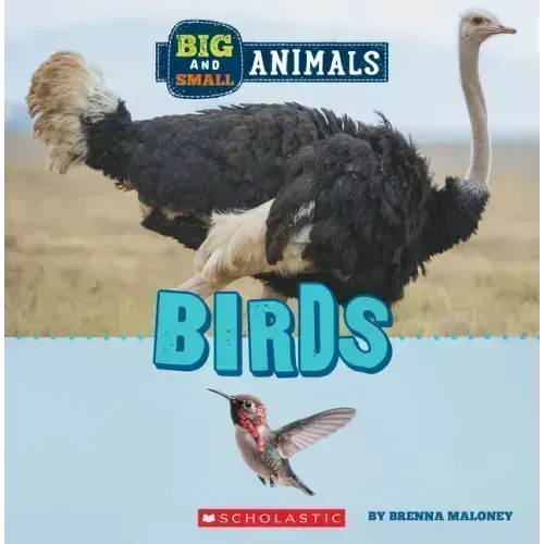Birds (Wild World: Big and Small Animals)