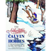 The Authoritative Calvin and Hobbes: A Calvin and Hobbes Treasury Volume 2