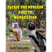 Jackie the Penguin Goes to Madagascar: Jackie Meets the Animals of Madagascar and Learns to Care About Nature