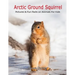 Arctic Ground Squirrel: Pictures and Fun Facts on Animals for Kids