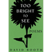 Too Bright to See
