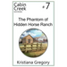 The Phantom of Hidden Horse Ranch