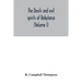 The devils and evil spirits of Babylonia: being Babylonian and Assyrian incantations against the demons, ghouls, vampires, hobgoblins, ghosts, and kin