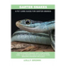 Garter Snakes: Garter Snakes General Info, Purchasing, Care, Cost, Keeping, Health, Supplies, Food, Breeding and More Included! A Pet