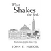 What Shakes the Bed?: Recollections of Life in Mexico City