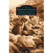Emigrant Gulch: Searching for Gold in Park County