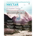 Nectar of Nondual Truth #28; A Journal of Universal Religious and Philosphical Teachings