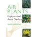 Air Plants: Epiphytes and Aerial Gardens