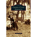 Green Cove Springs