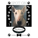Spot On: Mystery at the Dog Rescue
